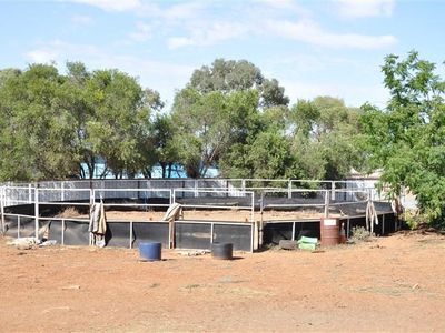1 Windsor Street, Forbes