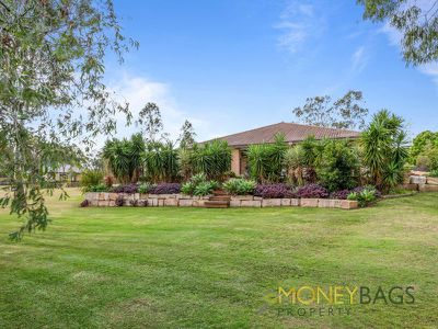 49 MacKenzie Avenue, Jimboomba