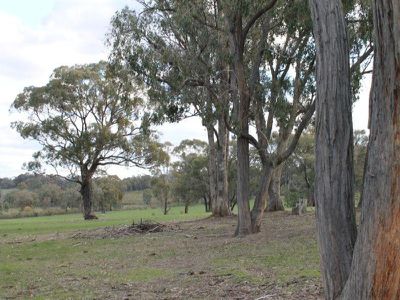 173 Moormbool Road, Moormbool West