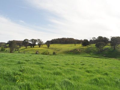 412 Vokins Creek Road, Little Billabong