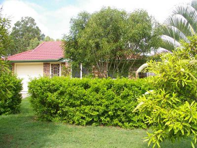 Flinders View
