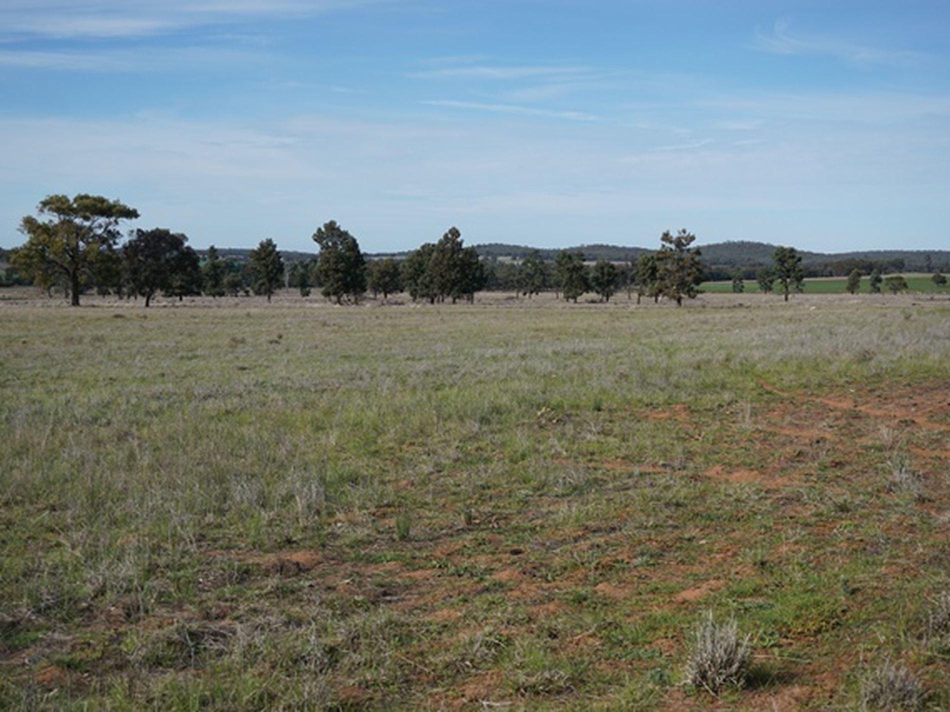 'Nyrang' 3013 Mid Western Highway, West Wyalong