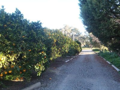 14 Bundemar Street, Wongarbon