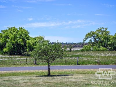 157 Grafton Street, Glen Innes