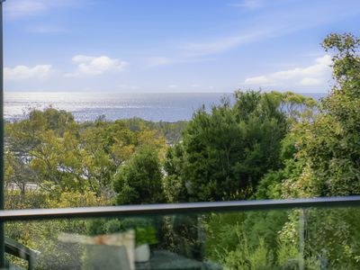 2 / 20B Frances Street, Bridport