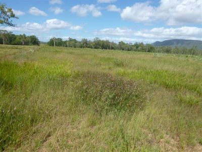 2 Flaggy Road, Cooktown