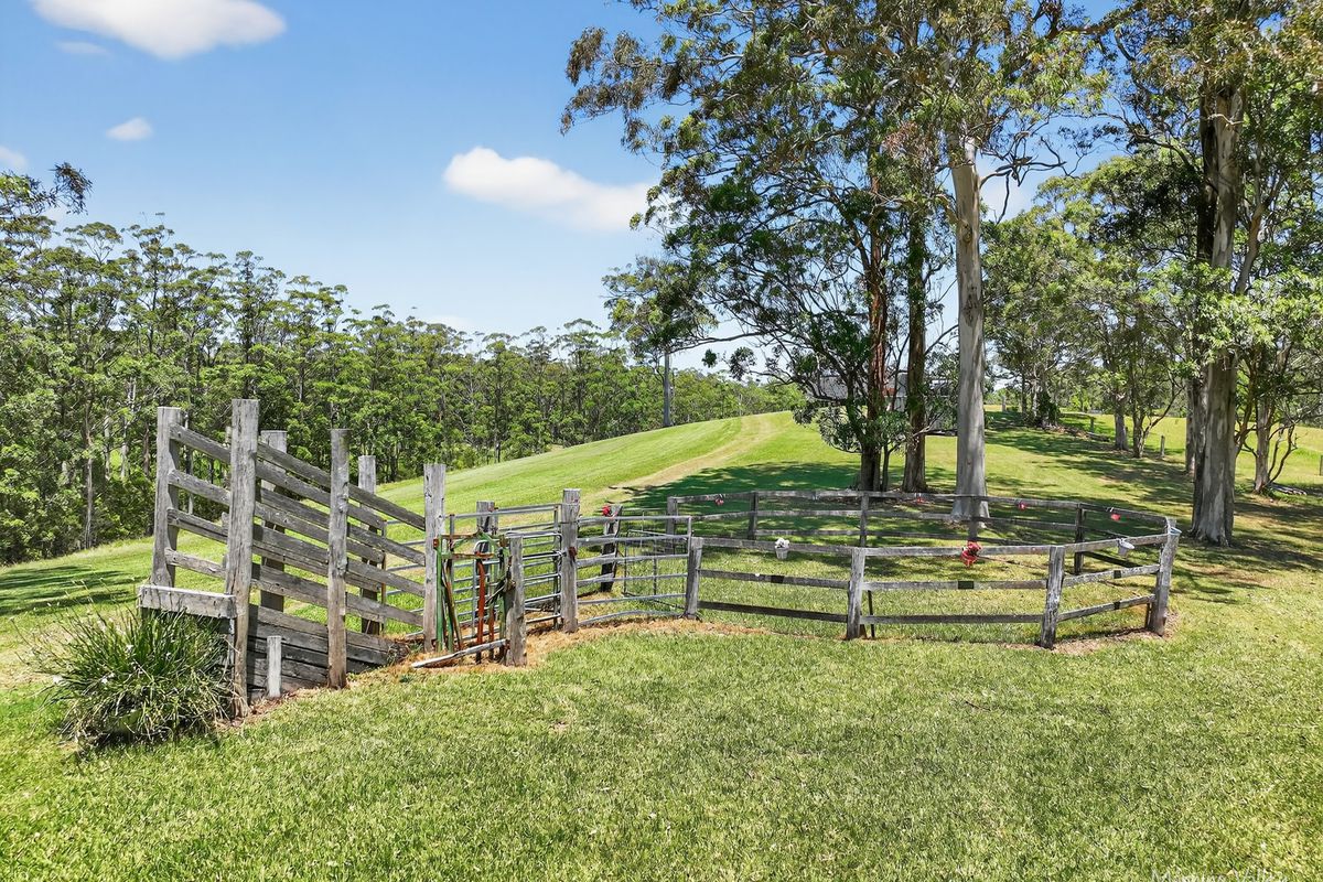 322 Hubbards Road North, Topi Topi