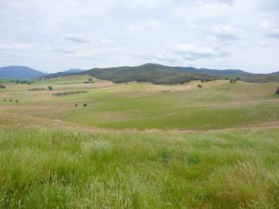 Tallangatta Creek Road, Tallangatta Valley