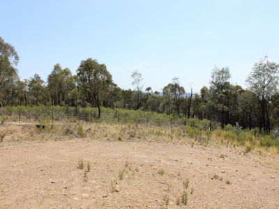 Fitzgeralds Mount