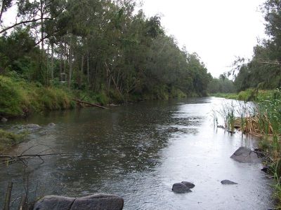Maleny