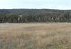 Lot 101 Sandy Creek Road, Molong