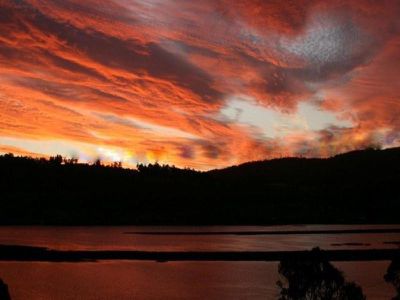 1686 Cygnet Coast Road, Cradoc