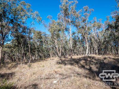 Lot 2, Billabong Waters - Strathbogie Road, Wellingrove