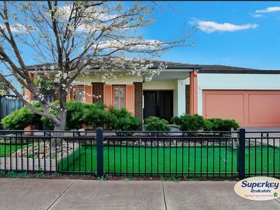 8 Hummingbird Boulevard, Tarneit