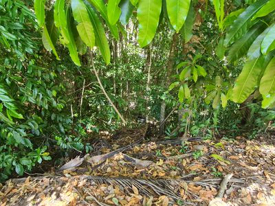 3173 Rossville Bloomfield Road, Bloomfield