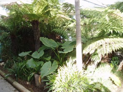 169 Mead Post Office Road, Cohuna
