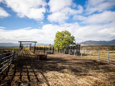 43 Berlin Road, Mount Berryman