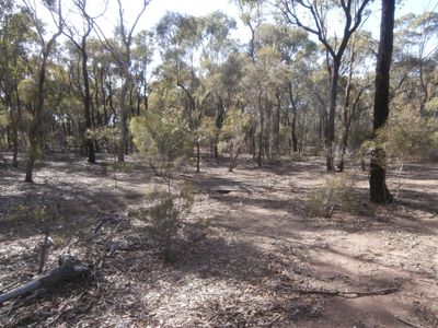 Lot 8, 1500 Sheldons Road, Myers Flat