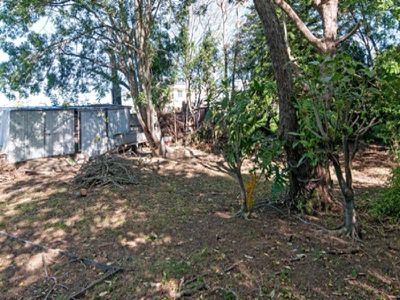 3 Galah Street, Churchill