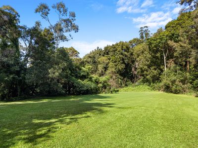 476 WALLACE ROAD, Terania Creek