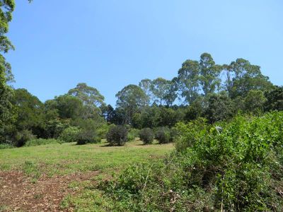 Maleny