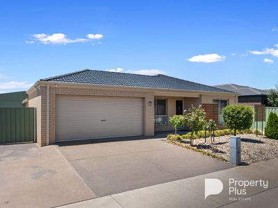 7 Dylan Street, Epsom
