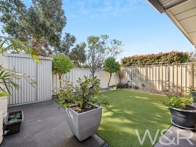 56A Australian Avenue, Clovelly Park