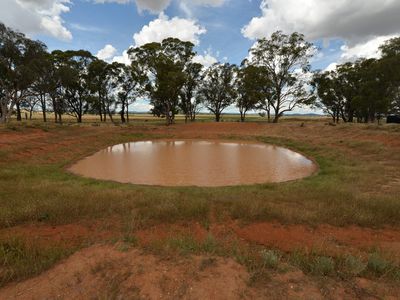 9889 Renshaw McGirr Way, Parkes