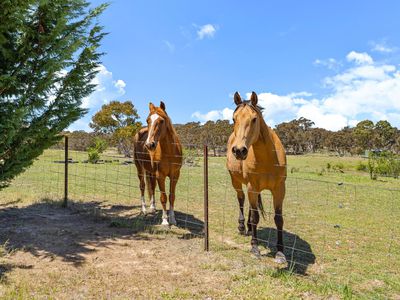 35 Sheehan Road, Hoskinstown