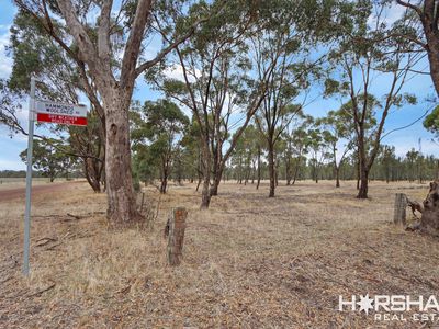 Lot 8, 8 Donald Swamp Road, Mockinya