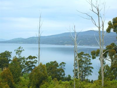 Cygnet Coast Road, Petcheys Bay