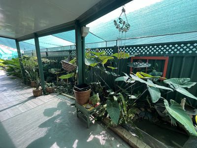 39 Burnett Street, Kingaroy