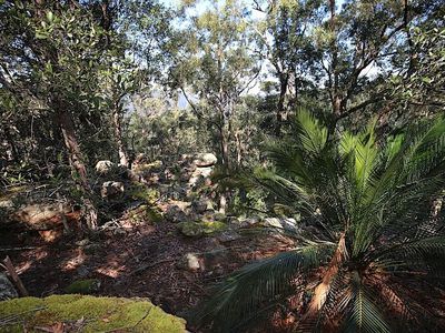 439 Jacks Corner Road, Kangaroo Valley