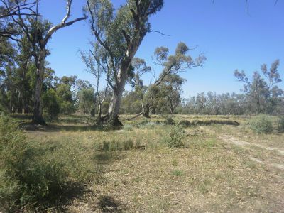 Lot 251 Balpool Road, Moulamein