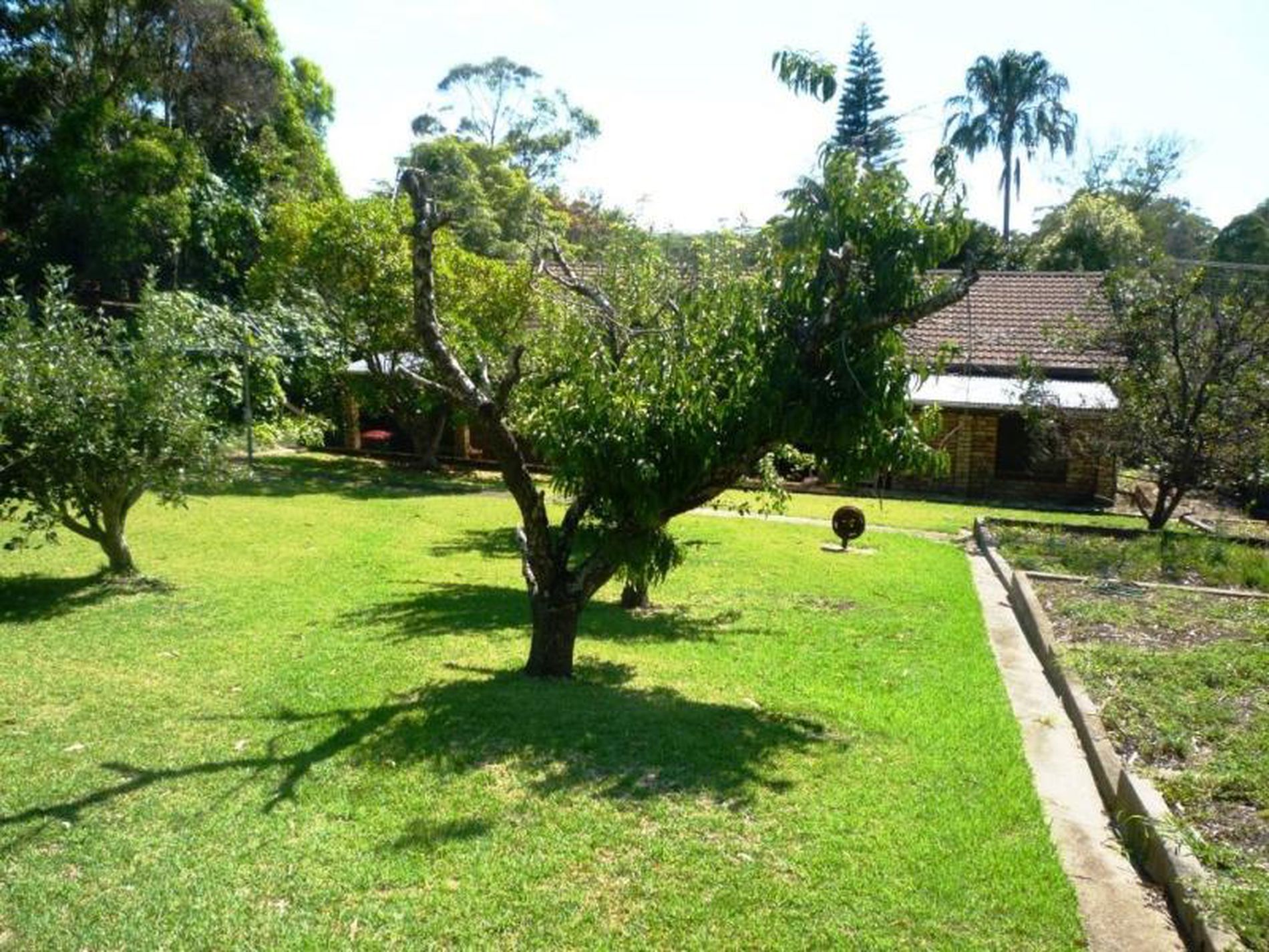 18 Buckland Street, Mollymook