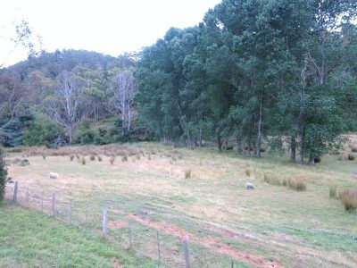 255 Fourteen Turn Creek Road, Grove
