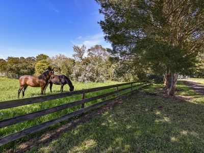 29747A Princes Highway, Millicent