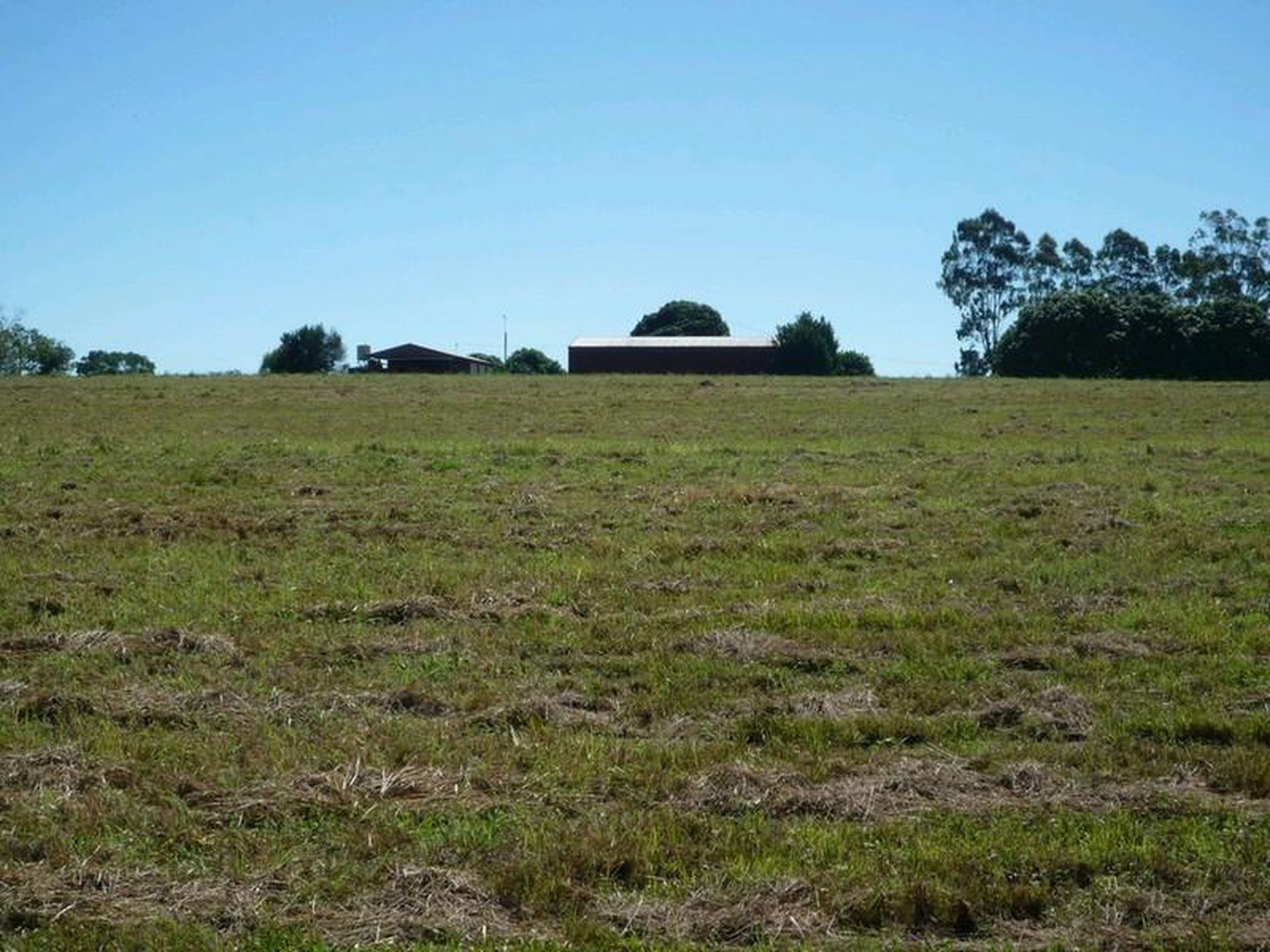 40 Olivers Road, Goodwood