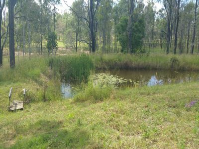 464 Mt Forbes Road, Mount Forbes