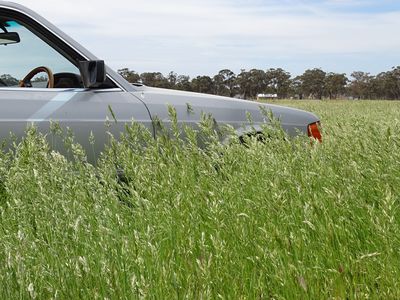 586 Delaney Road, Nagambie