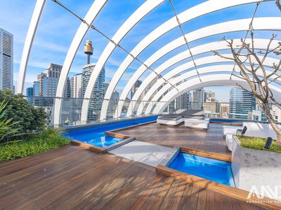 1305 / 161 Clarence Street, Sydney