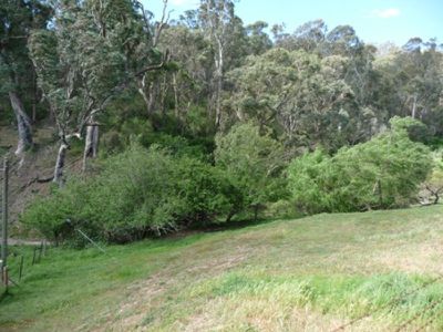188A Blind Creek Road, Tallandoon