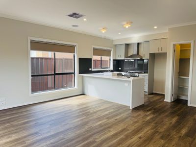 91 Adelong Boulevard, Cobblebank