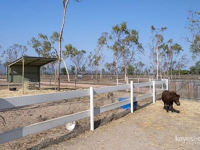 235 Laudham Road, Kelso