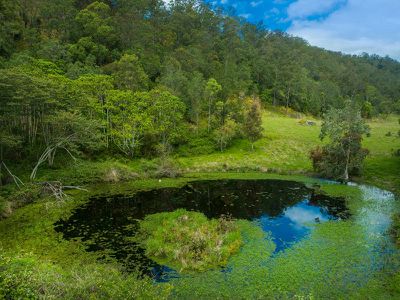 78D Davis Road, Jiggi