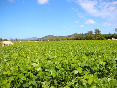 256 Hacks Ferry Road, Hacks Ferry