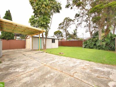 8 Coolibah Ave, Albion Park Rail