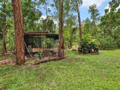 67 Eucalyptus Road, Herbert