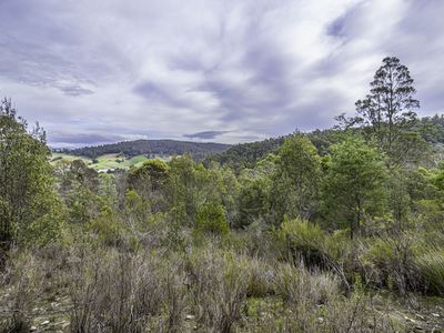 Lot 1 & 2, Wylies Road , Cygnet