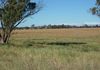 414 Whiteley Road, Molong